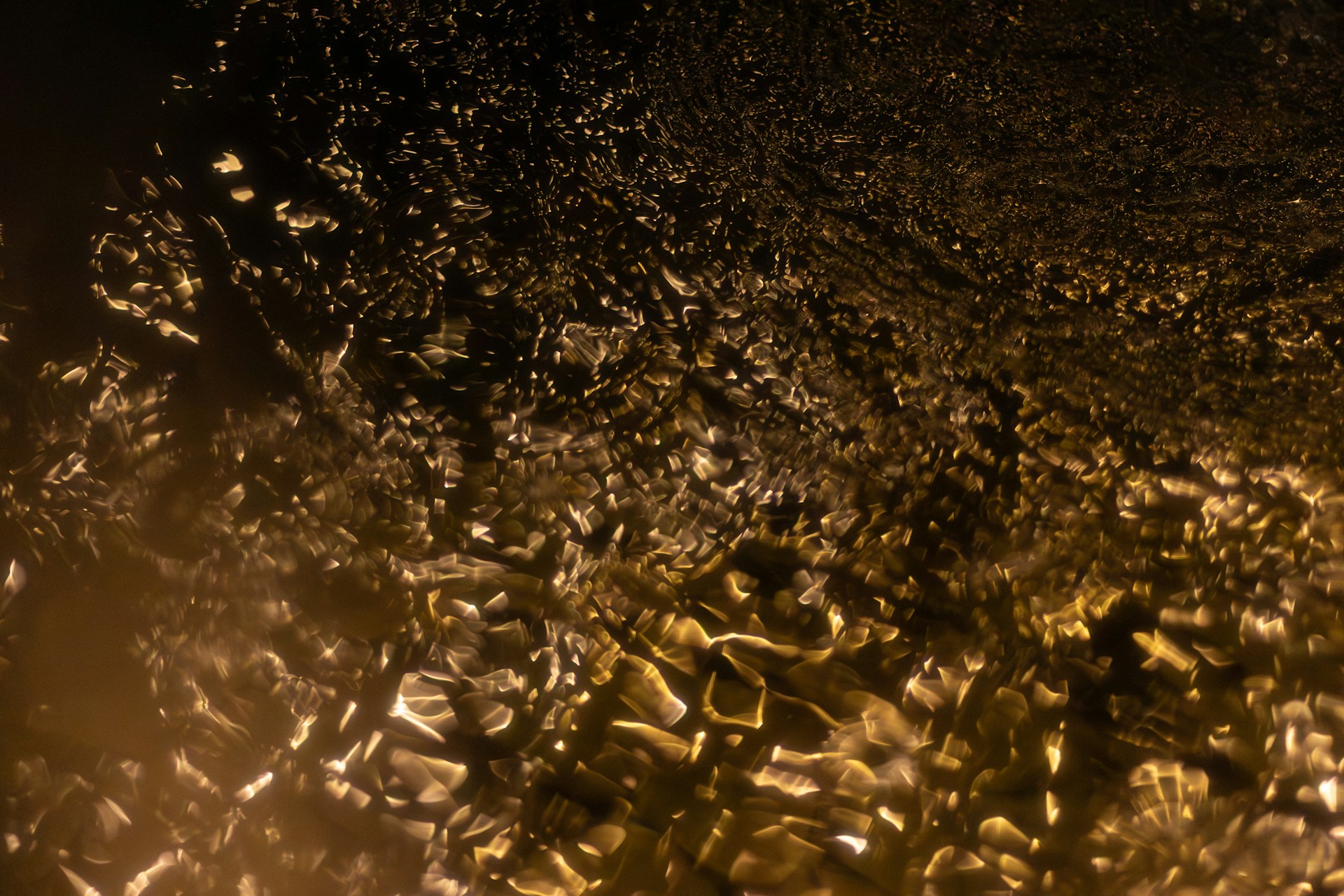 An out-of-focus field of golden light broken into thousands of small facets across a dark ground